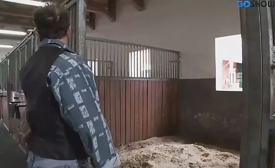 Jokey Braunschweigische Füchsepflanzer und Halsamputierte
